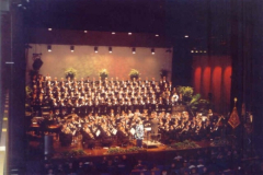 photo7